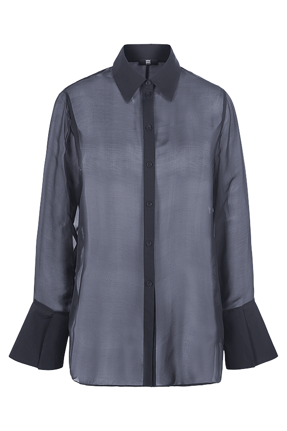 Riani Transparent Chiffon Blouse Tres Chic