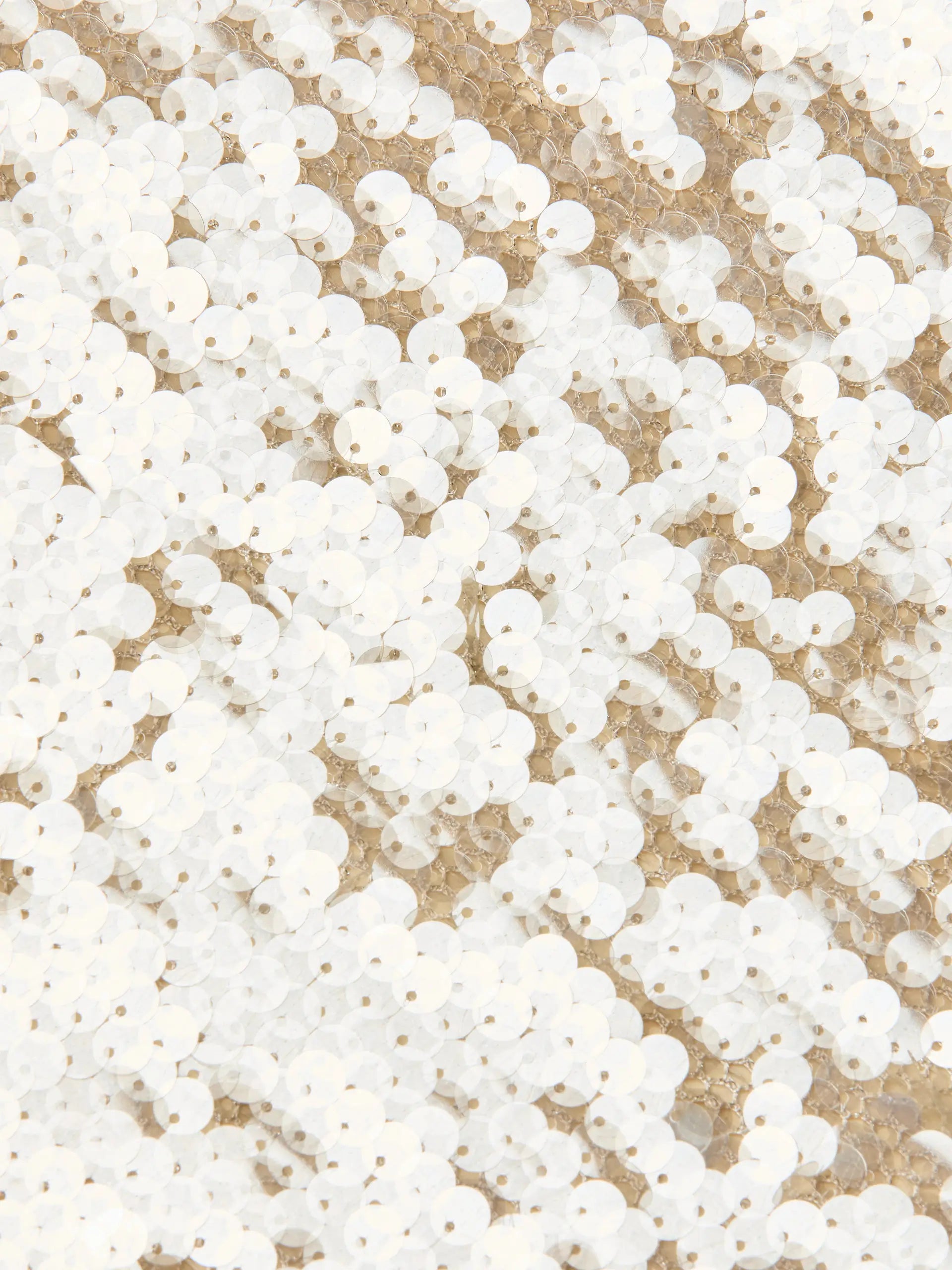 Robe Maxi à Paillettes L'Agence Karma