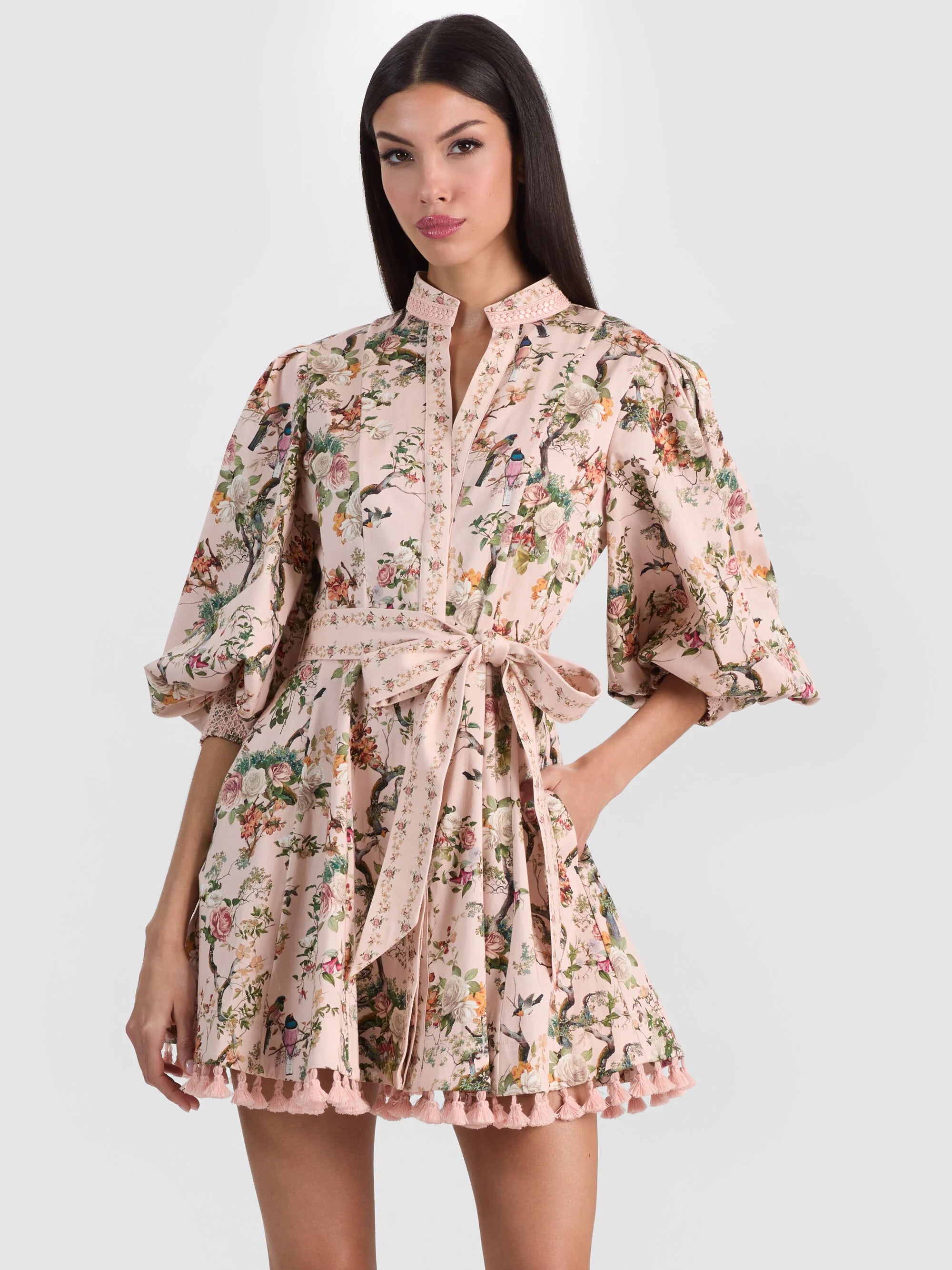 Alice + Olivia Lucy Mini Shirt Dress Sunset Grove
