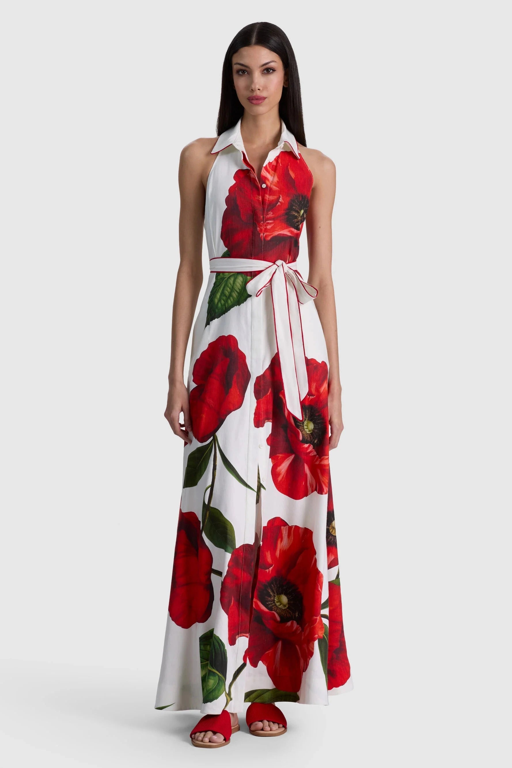 Alice + Olivia Chassidy Halter Maxi Dress Summer Poppy