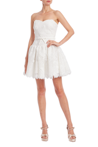 Badgley Mischka Bow Drop Waist Mini Dress Light Ivory