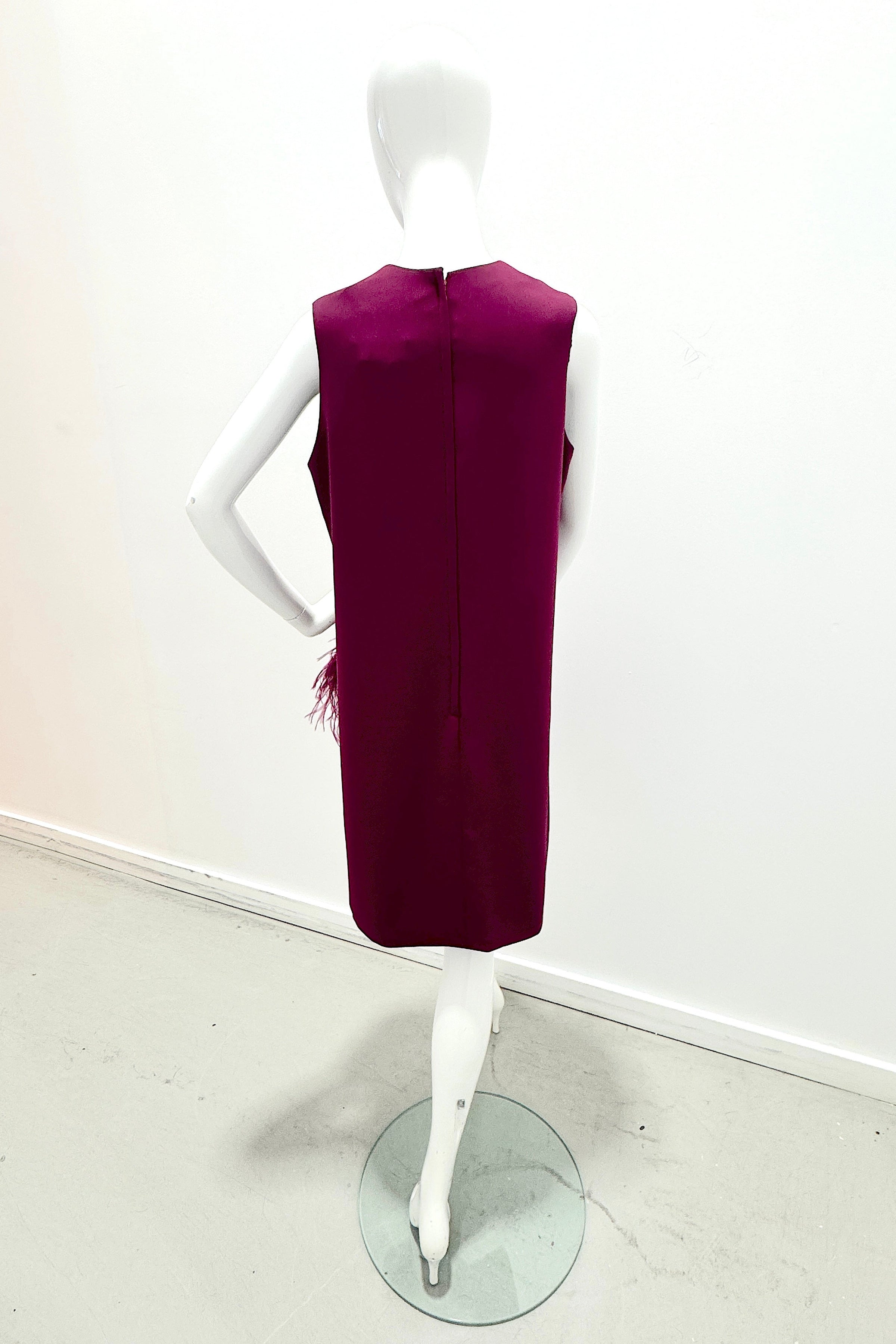 Catherine Regehr Sleeveless Jewel Neck Arak Dress W/ Narrow Plume & Crystals Plum