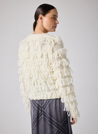 Pull NotShy Cristian