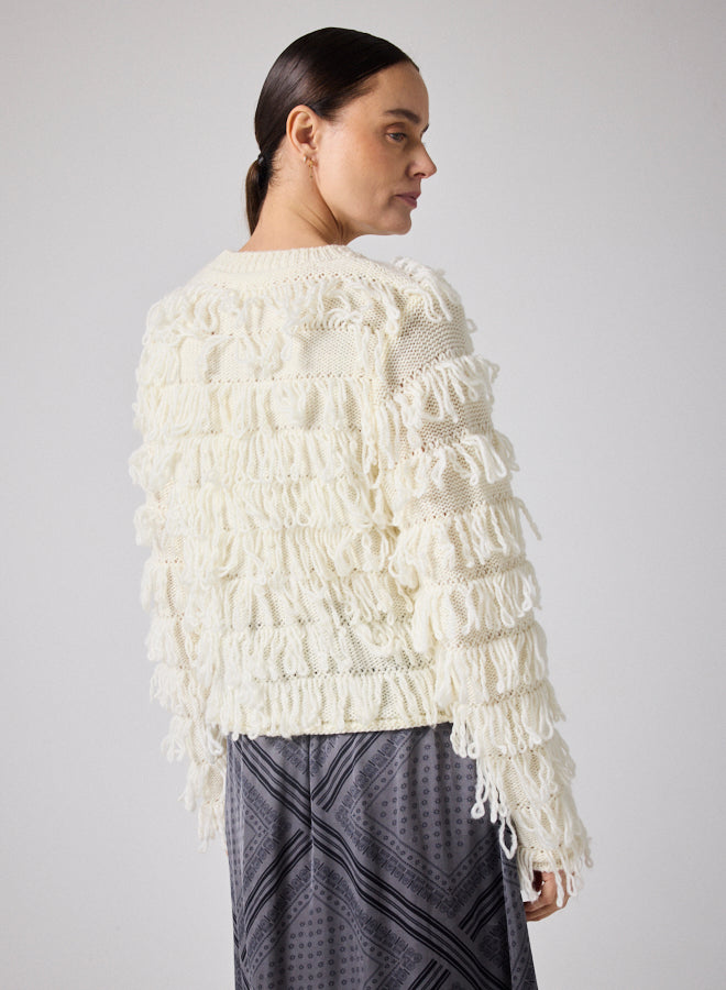 Pull NotShy Cristian